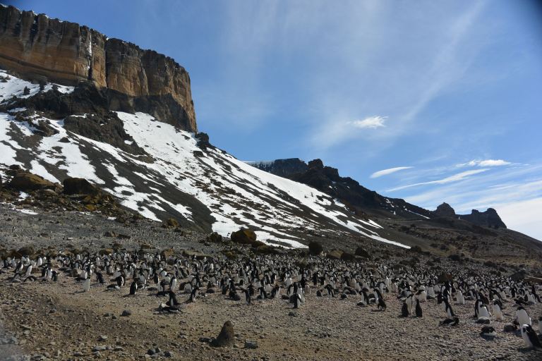 Come out to Antarctica, we’ll have a party!