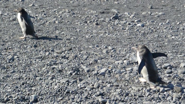 Dude, I am telling you, it’s THAT way!!!