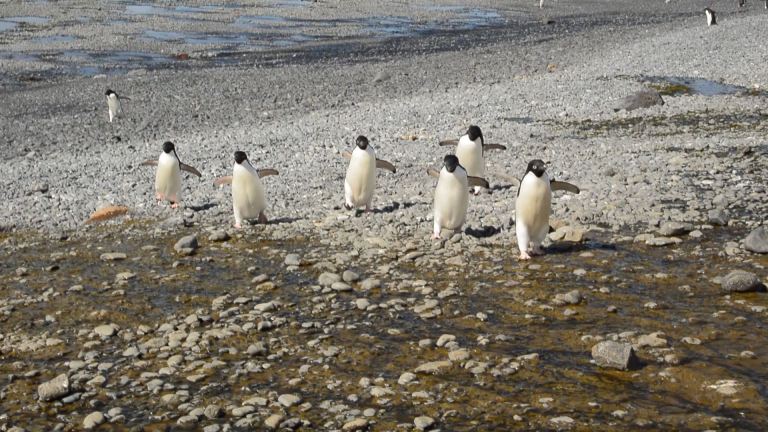 HI! Hi! Hi! Hi! Hi! Hi!