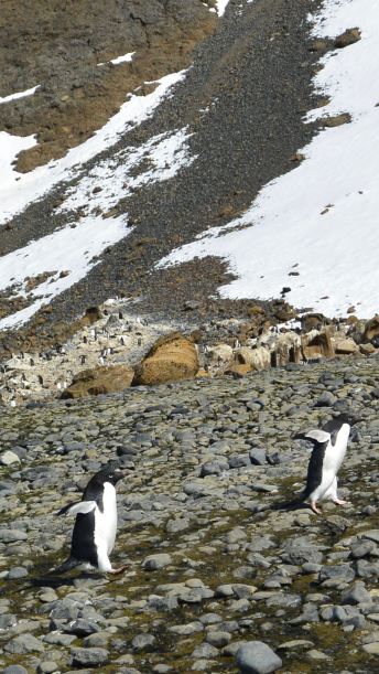 Hi ho, hi ho, it’s off to work we go.