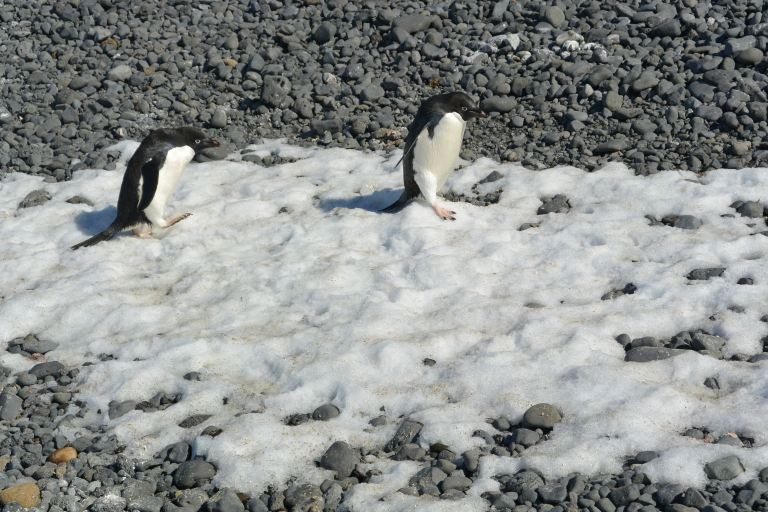 Ugh, fine, whatever you want. Geez.